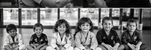 Homeschool martial arts program